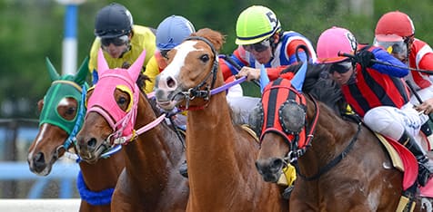 レース 結果 中央 今日 競馬 の