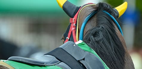 ライブ 大井 競馬